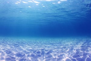 Kelley Underwater