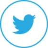 thin_twitter