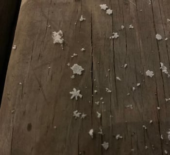 Snowflakes