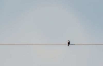 The Right Tensions
