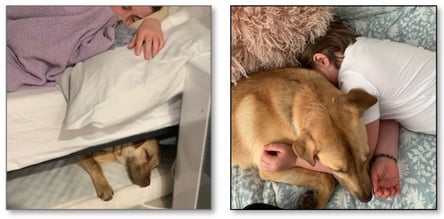 kelley-dog